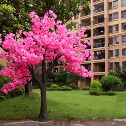 Tree Landscape Lighting