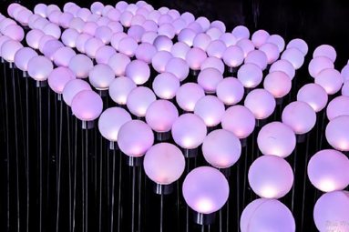 LED Poppy Flower Stake Light H65 cm