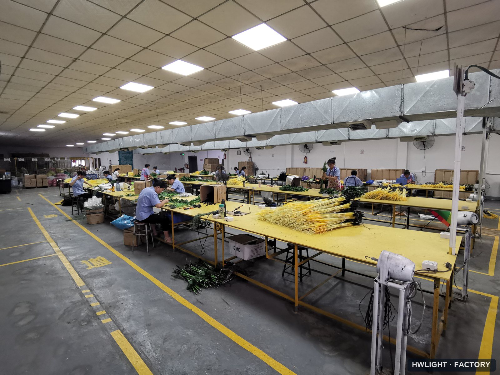 Lighting assembly lines